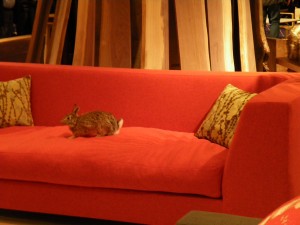 ICFF is so quiet rabbits feel at ease on the stands (almost)