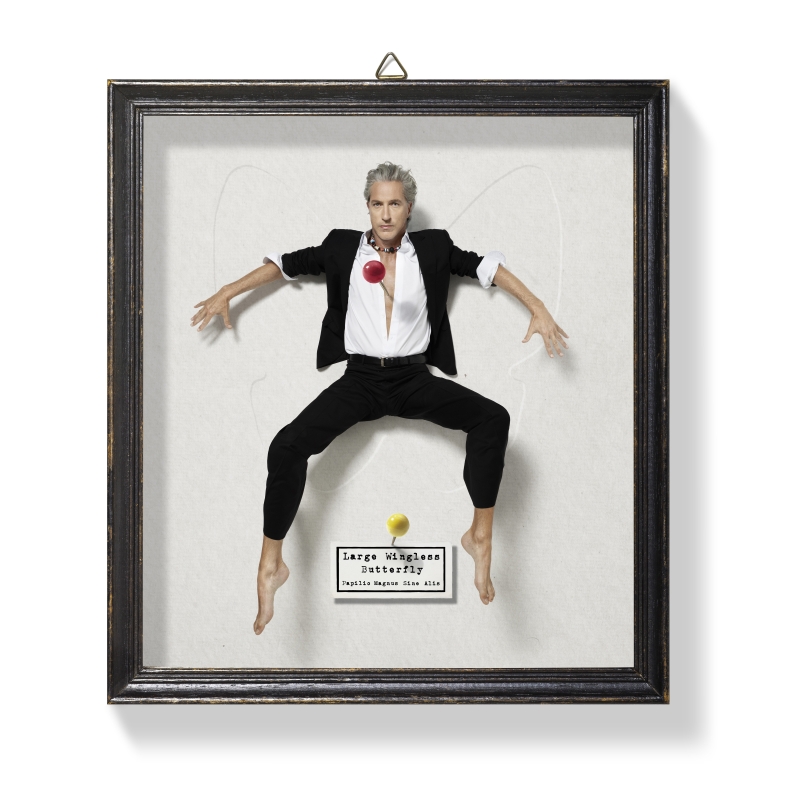 Marcel Wanders Pinned Up at the Stedelijk 25 years of design