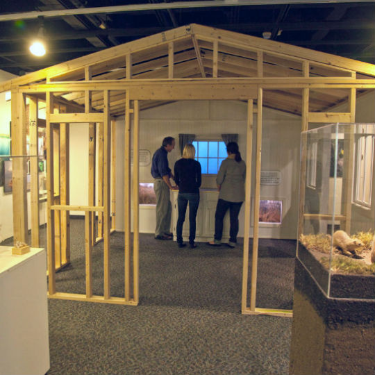 Sustainable Shelter Dwelling Within the Forces of Nature