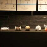 Mine Kafon Prototypes by Massoud Hassani, as seen at Open World, Kazerne Eindhoven
