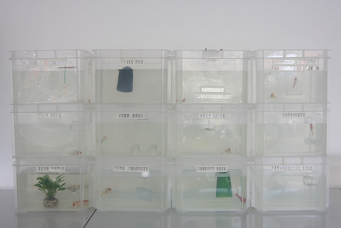 Fish Futures by Martí Guixé, as seen at Pet Market, Galerie erstererster, Berlin