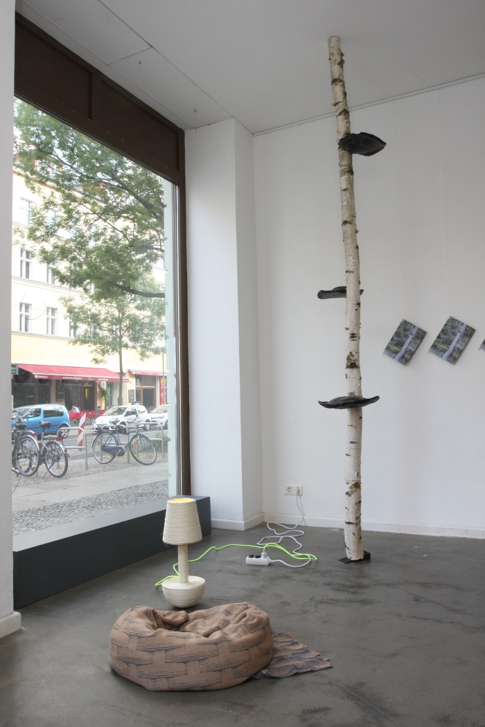 DMY Design Spots 2015: Pet Market at Galerie erstererster