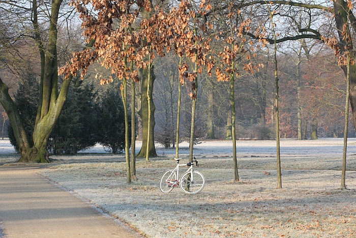 self propelled bicycle