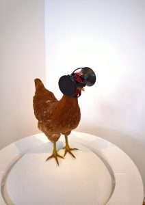 Second Livestock by Austin Stewart. Virtual Reality for chickens, as seen at Food Revolution 5.0. Design for Tomorrow’s Society, Museum für Kunst und Gewerbe Hamburg