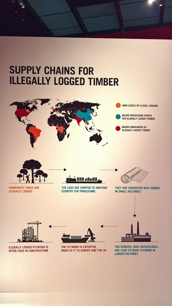 Illegal timbers' way to untraceable plywood, graphic by Irish Butcher Studio, as seen at Plywood: Material of the Modern World, the V&A Museum London