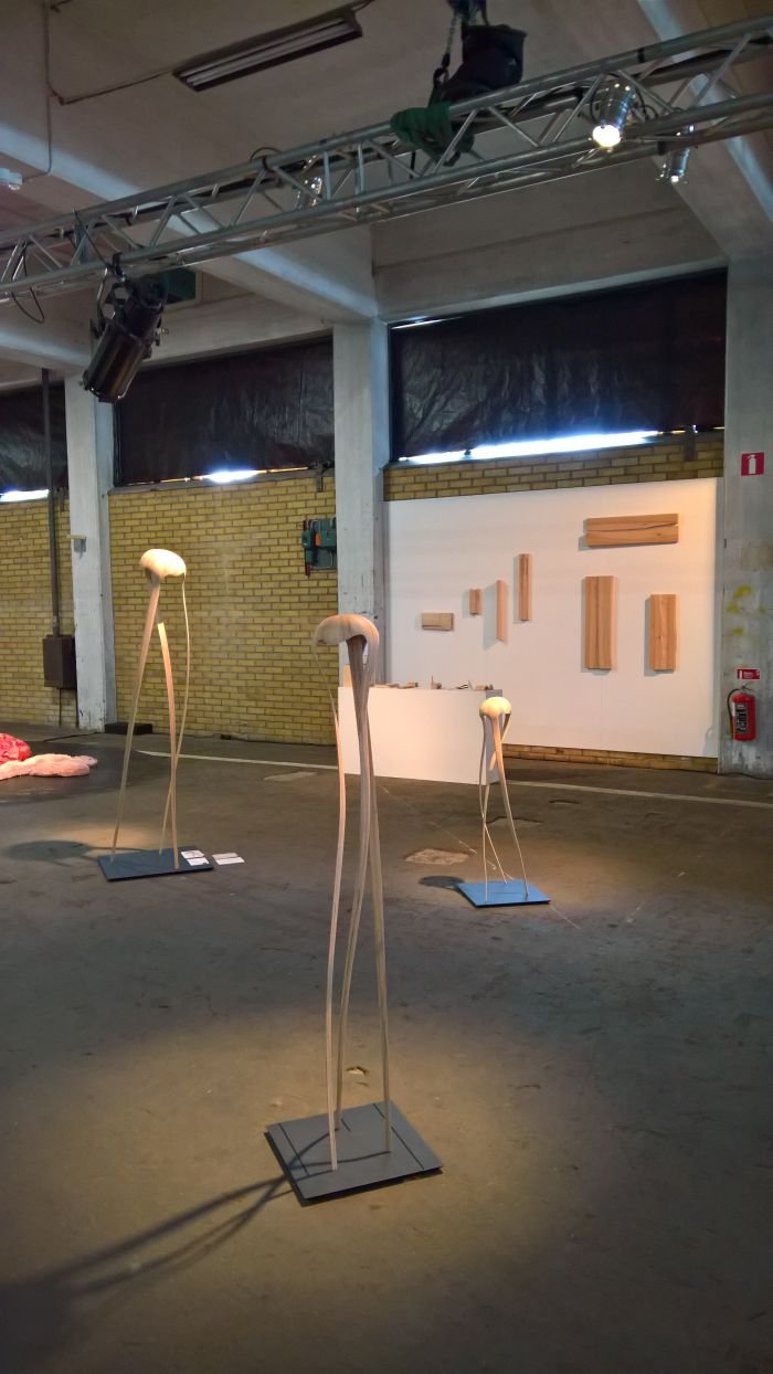 Outside Material; The Transfiguration of Lines by Robert Curran (l) & Finding The Grain Of Things by Álvaro Aramburu (r), as seen at the 2018 HDK Gothenburg Degree Exhibition