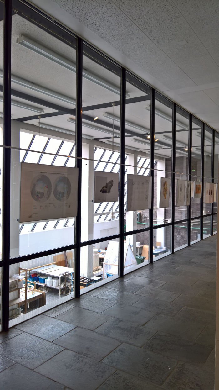 Scientific Illustration Master graduation projects, as seen at Graduation 2019, Academies Beeldende Kunsten Maastricht