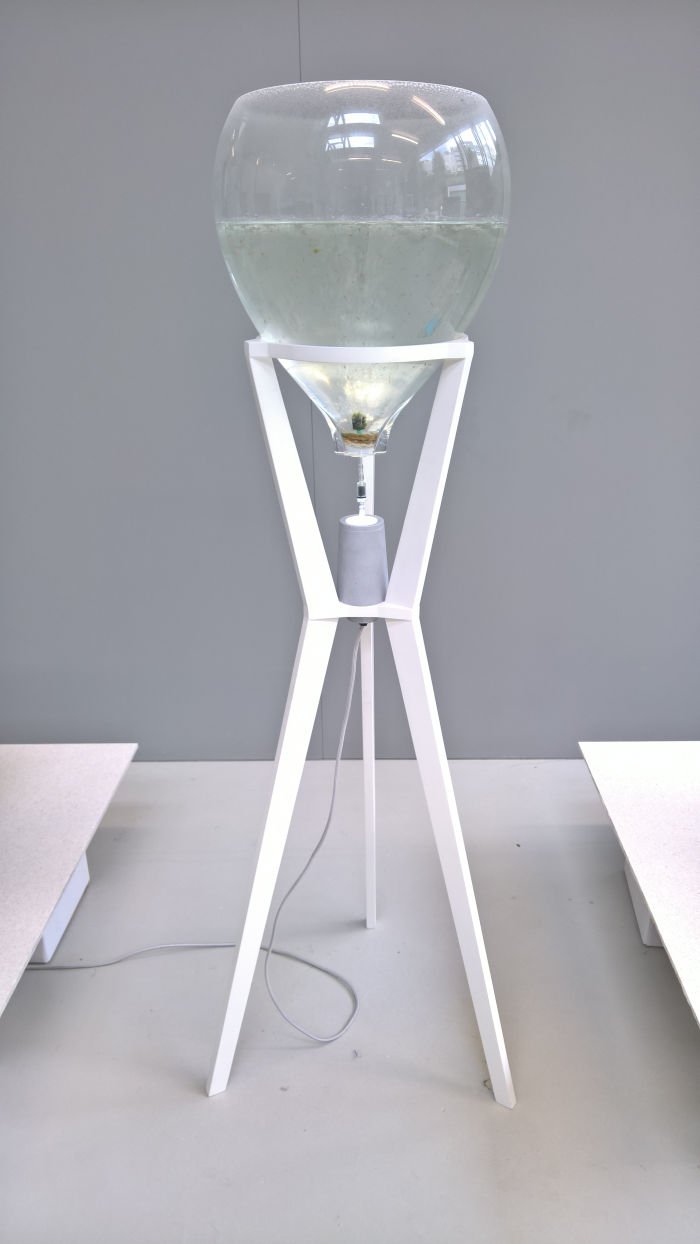 LUPA by Emma Hoogstede, as seen at Finals 2019, ArtEZ Academy of Art & Design Arnhem