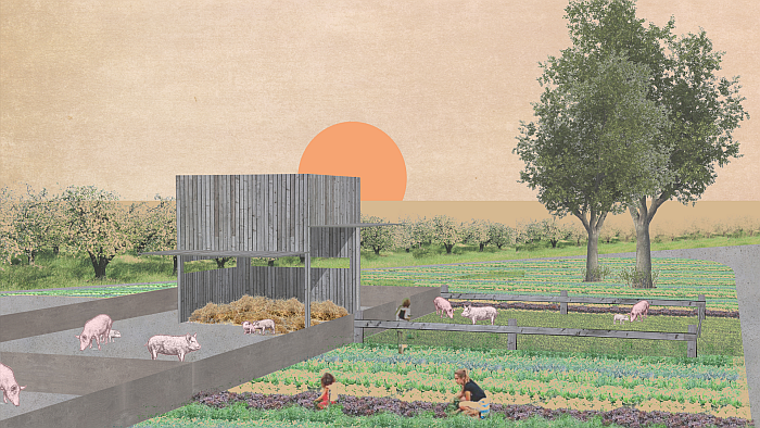 'Schweinevilla' by Katharina Münch (TU Darmstadt), part of Architecture for Pigs. Barn. Slaughterhouse. Shop., Aedes Architekturforum Berlin