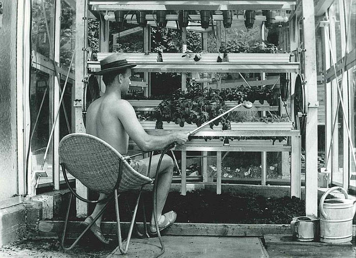 Farming can be so easy.... Othmar Ruthner’s Turmgewächshaus, part of Future Food, the Deutsches Hygiene-Museum Dresden (Photo L. Zotter © Gartenbauschule Langenlois, courtesy Deutsches Hygiene-Museum)
