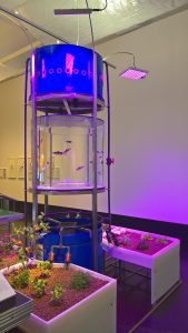Aquaponics model developed by IGB-Leibnitz Institute of Fshwater Ecology and Inland Fisheries, as seen at Future Food. What will we eat tomorrow?, Deutsches Hygiene-Museum, Dresden