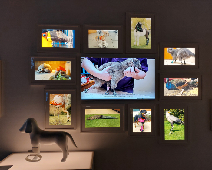 A gallery of non-human animals with 3D printed prosthetics, as seen at PRINT3D. Reprint Reality, CaixaForum, Sevilla