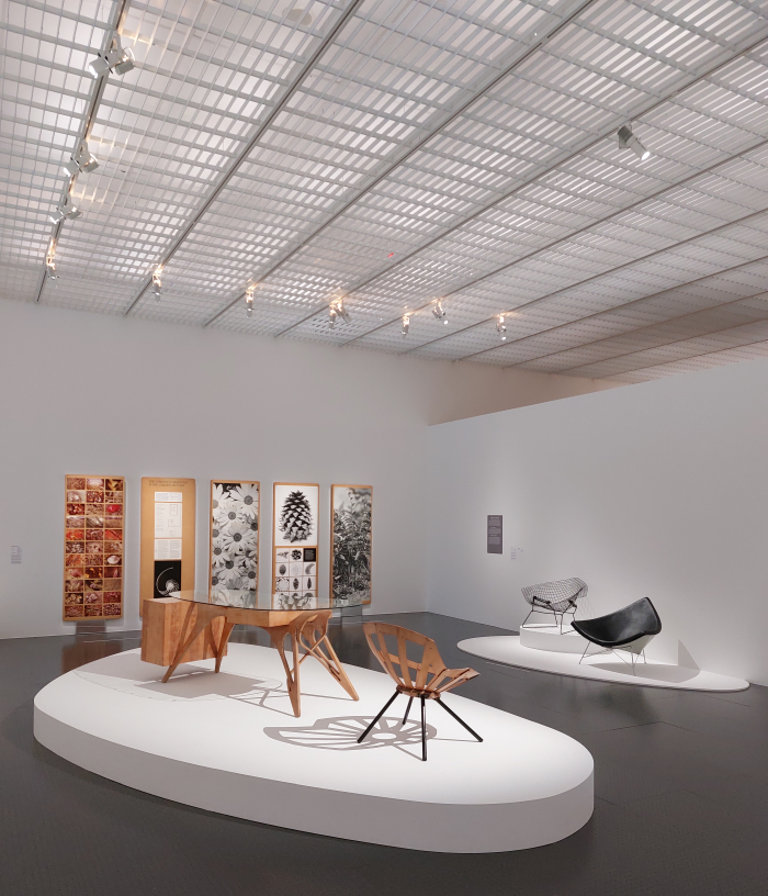 Works from the chapter Biomorphism, as seen at Mimesis. A living design, Centre Pompidou-Metz 