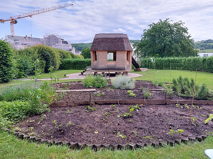 The Vitra staff vegetable garden, Vitra Campus, Weil am Rhein (June 2025)