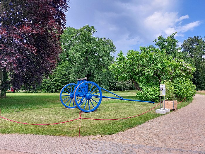 A discussion on the Neue Baumuniversität, Branitz, as seen at Re:Generation. Climate change in a natural World Heritage Site – and what we can do about it, Park Sanssouci, Potsdam