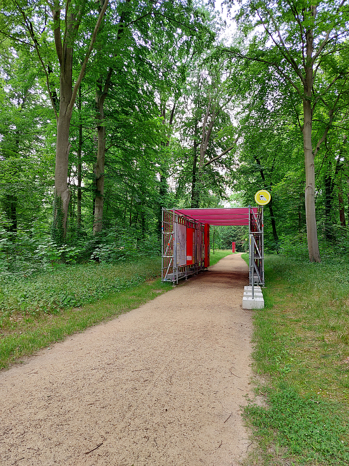 The station The Life of Trees, as seen at Re:Generation. Climate change in a natural World Heritage Site – and what we can do about it, Park Sanssouci, Potsdam