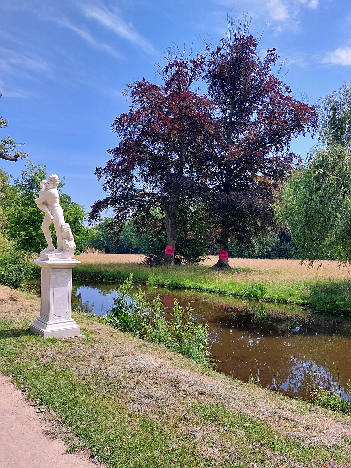 Re:Generation. Climate change in a natural World Heritage Site – and what we can do about it, Park Sanssouci, Potsdam