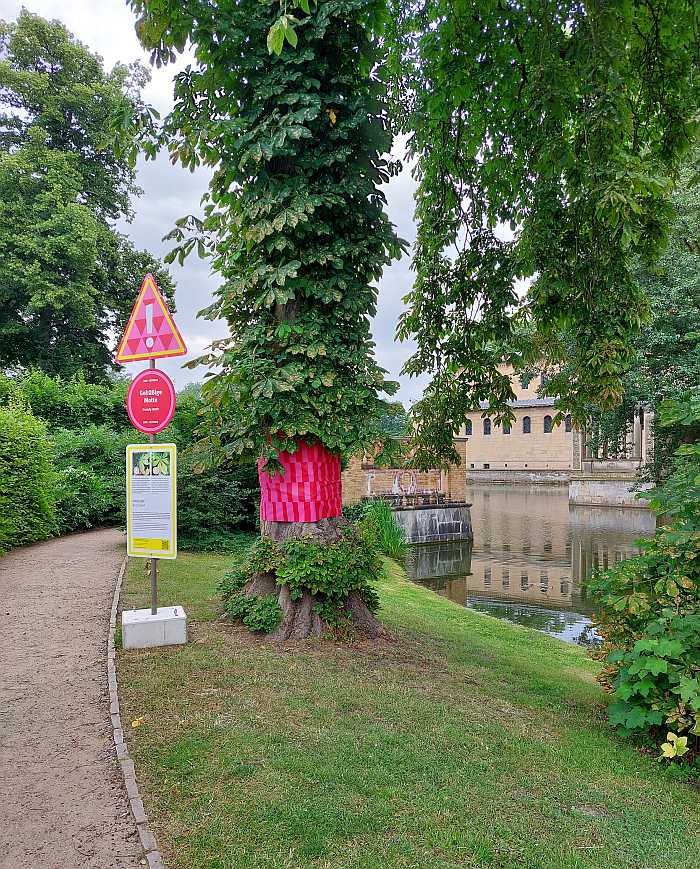 A discussion on the horse chestnut leaf mining moth, as seen at Re:Generation. Climate change in a natural World Heritage Site – and what we can do about it, Park Sanssouci, Potsdam