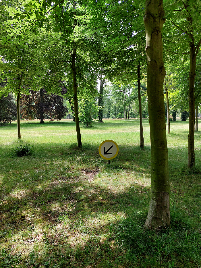 A discussion on replanting 'wild' saplings, as seen at Re:Generation. Climate change in a natural World Heritage Site – and what we can do about it, Park Sanssouci, Potsdam
