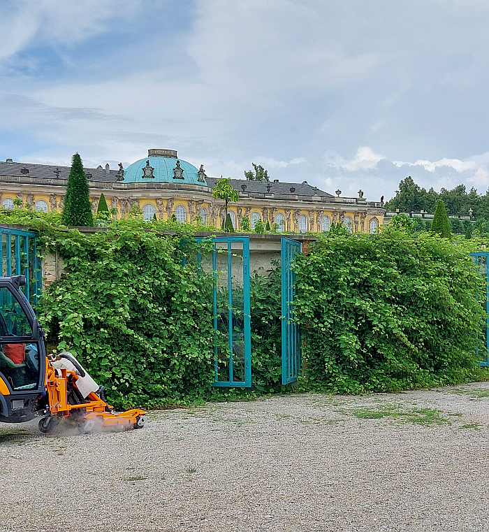 Steam weeding the Park Sanssouci terraces