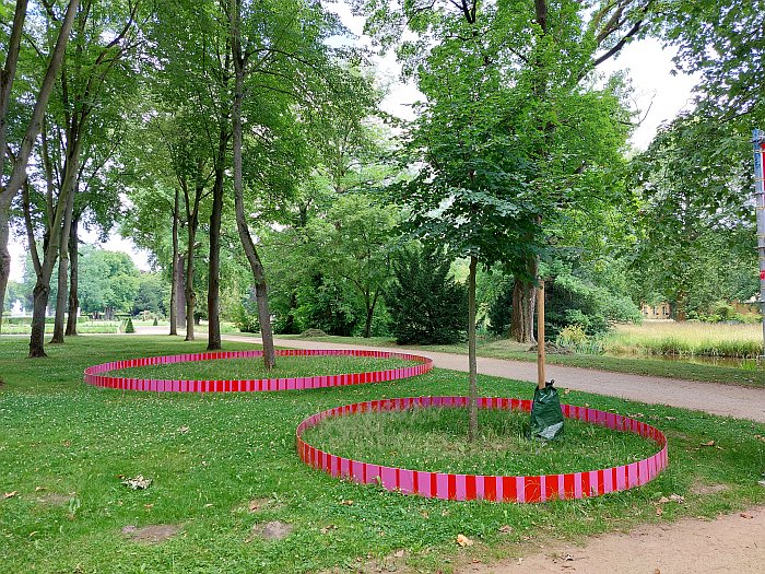 A discussion on roots and water, as seen at Re:Generation. Climate change in a natural World Heritage Site – and what we can do about it, Park Sanssouci, Potsdam