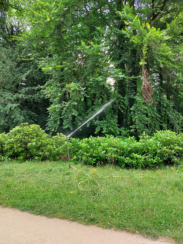 Watering the trees at Park Sanssouci, Potsdam