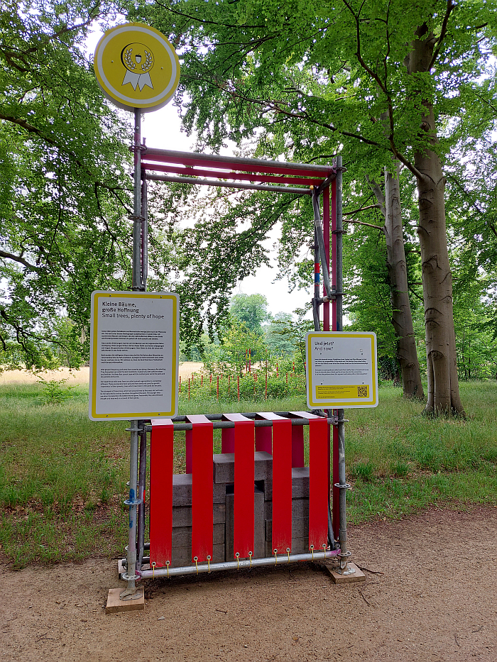 A discussion on 'wild' saplings, as seen at Re:Generation. Climate change in a natural World Heritage Site – and what we can do about it, Park Sanssouci, Potsdam