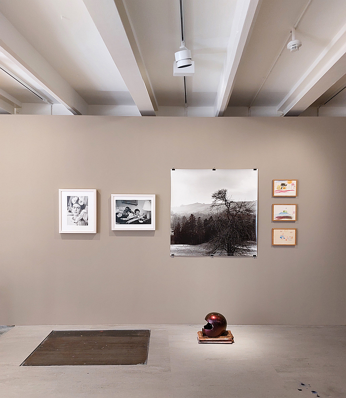 Sandra Knecht - Home Is a Foreign Place, Kulturstiftung Basel H. Geiger, Basel