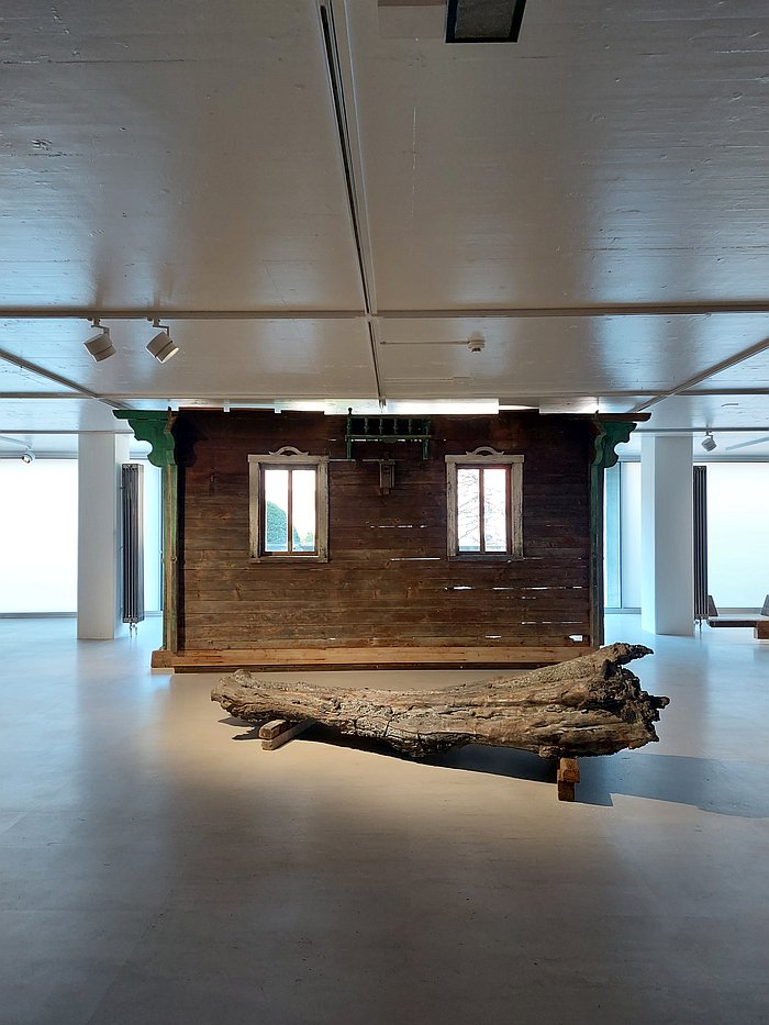 The bee-house and brass tree, as seen at Sandra Knecht - Home Is a Foreign Place, Kulturstiftung Basel H. Geiger, Basel