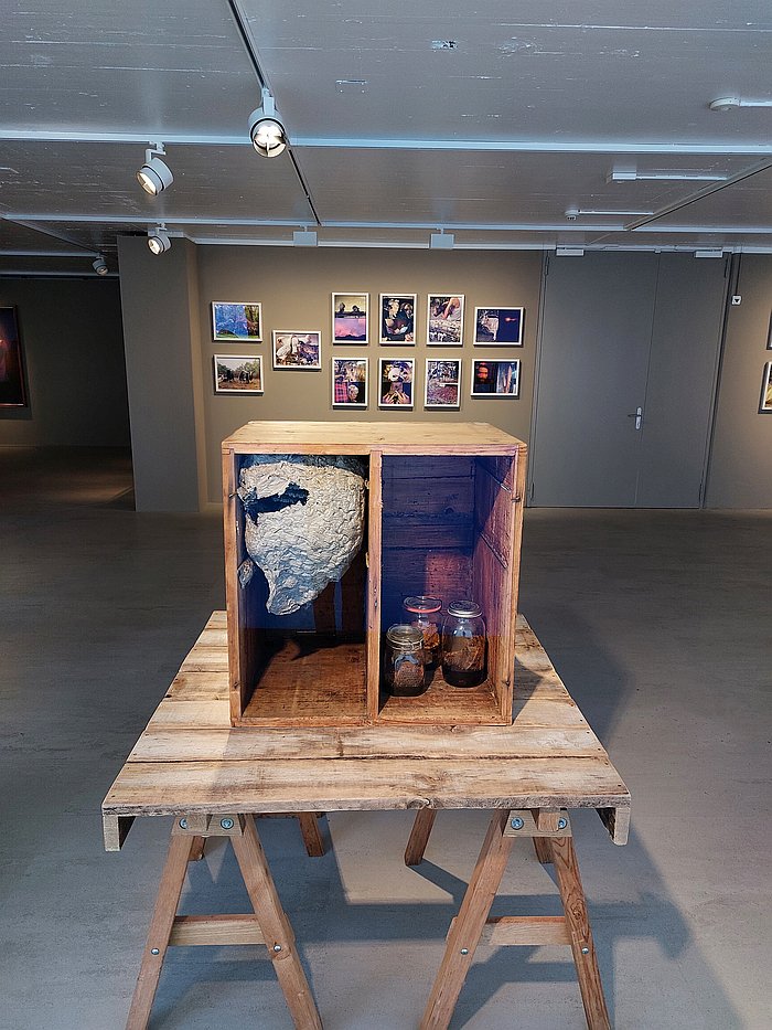 A bee-box squatted by wasps, as seen at Sandra Knecht - Home Is a Foreign Place, Kulturstiftung Basel H. Geiger, Basel