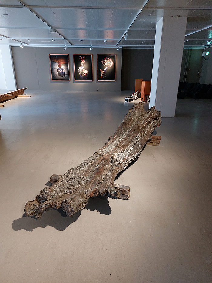 A brass tree by Sandra Knecht, as seen at Sandra Knecht - Home Is a Foreign Place, Kulturstiftung Basel H. Geiger, Basel