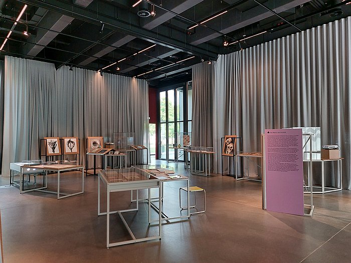 Bauhaus Ecologies, Bauhaus Museum Dessau