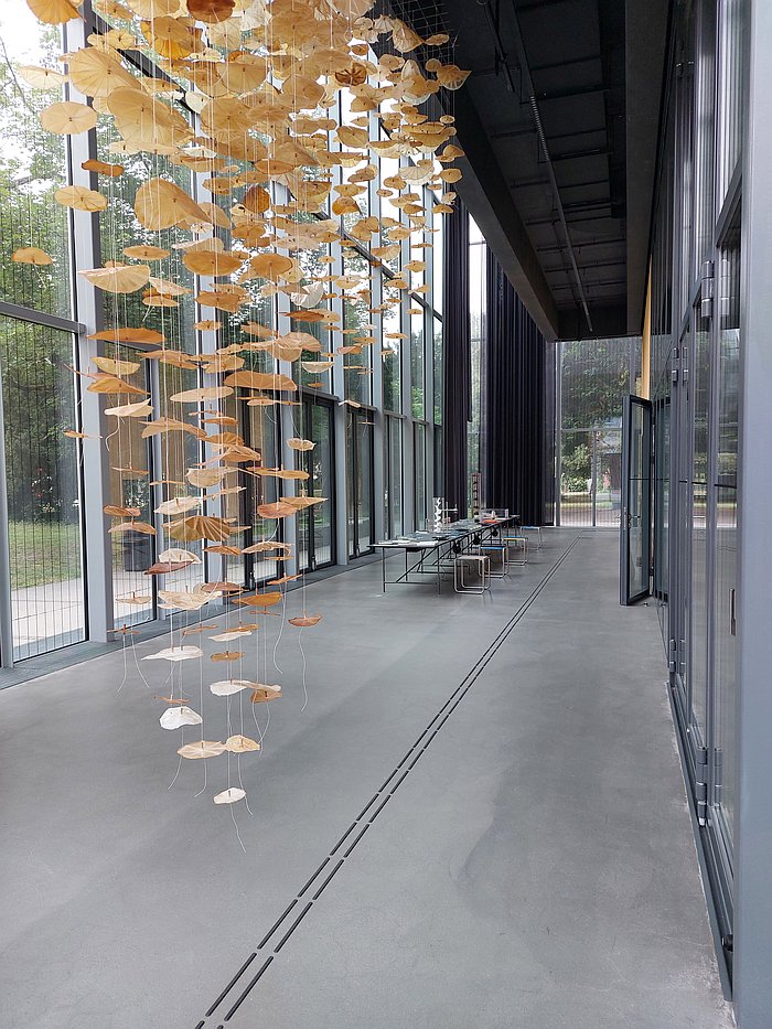 Part of the chapter Co-Weaving with examples of biofilms, as seen at Bauhaus Ecologies, Bauhaus Museum Dessau