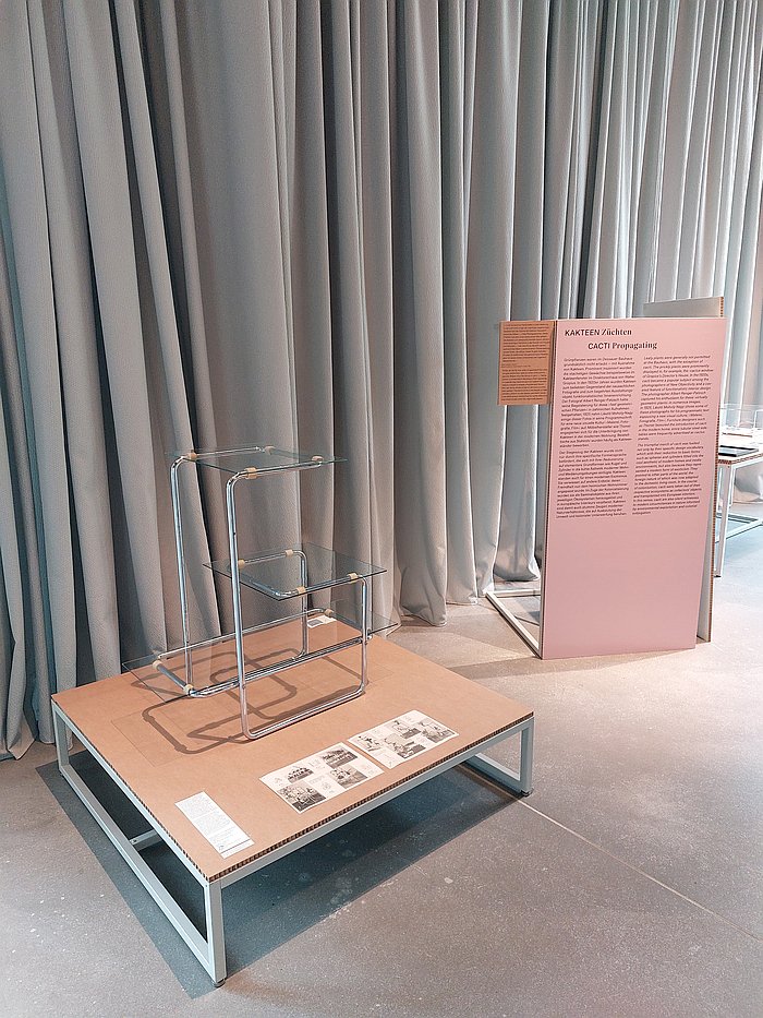 A steel tube and glass plant table by Émile Guyot a.k.a. Emile Guillot a.k.a. A. Guyat for Thonet, as seen at Bauhaus Ecologies, Bauhaus Museum Dessau