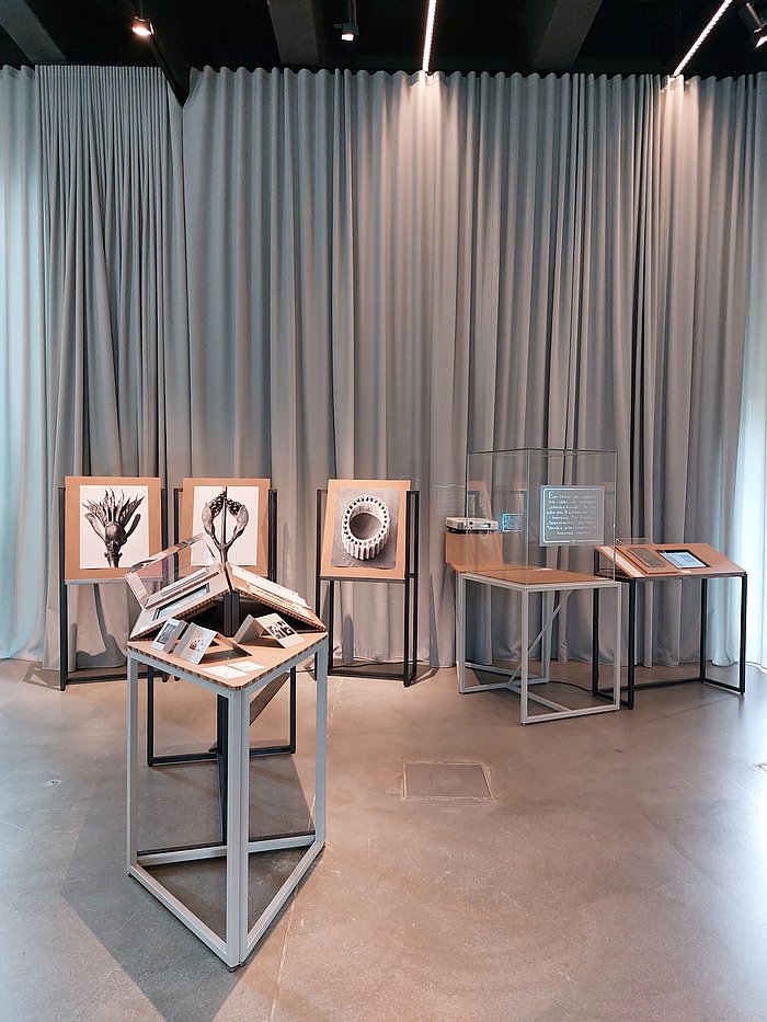 Bauhaus Ecologies, Bauhaus Museum Dessau