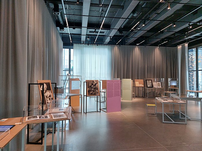Bauhaus Ecologies, Bauhaus Museum Dessau