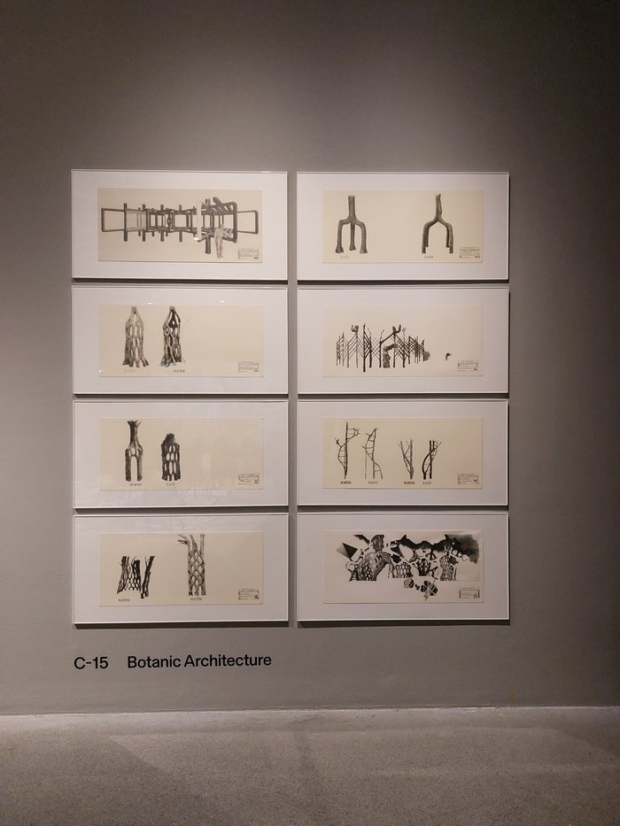 A presentation on the principles of Botanic Architecture, as seen at Trees, Time, Architecture. Design in Constant Transformation, Architekturmuseum der TU München