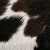 Hide, black-white-brown patches