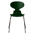 Ant Chair 3101 New Colours, Coloured ash, Evergreen, Warm graphite