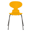 Ant Chair 3101 New Colours, Lacquer, True yellow, Warm graphite