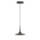 Falling Leaf Pendant Lamp, Black