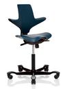 Capisco Puls 8010, Petroleum, Xtreme light grey, Black