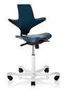 Capisco Puls 8010, Petroleum, Xtreme light grey, White