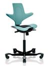 Capisco Puls 8010, Sea green, Xtreme black, Black