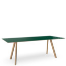 Copenhague Table CPH30, L 200 x W 90 x H 74, Lacquered oak, Linoleum green