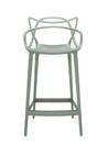 Masters Barstool, Sage, kitchen version: 65 cm