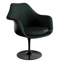 Saarinen Tulip Armchair, Static, Upholstered inner shell and seat cushion, Black, Cactus (Eva 169)
