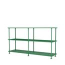 Free 220000 Shelf, Parsley
