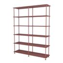 Free 550000 Shelf, Masala