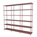 Free 555000 Shelf, Masala